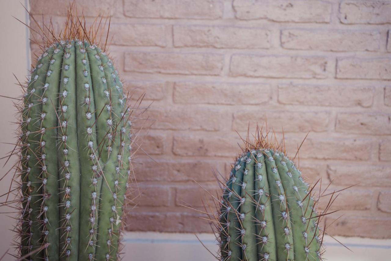 Luna De Cafayate Hotel Boutique Dış mekan fotoğraf