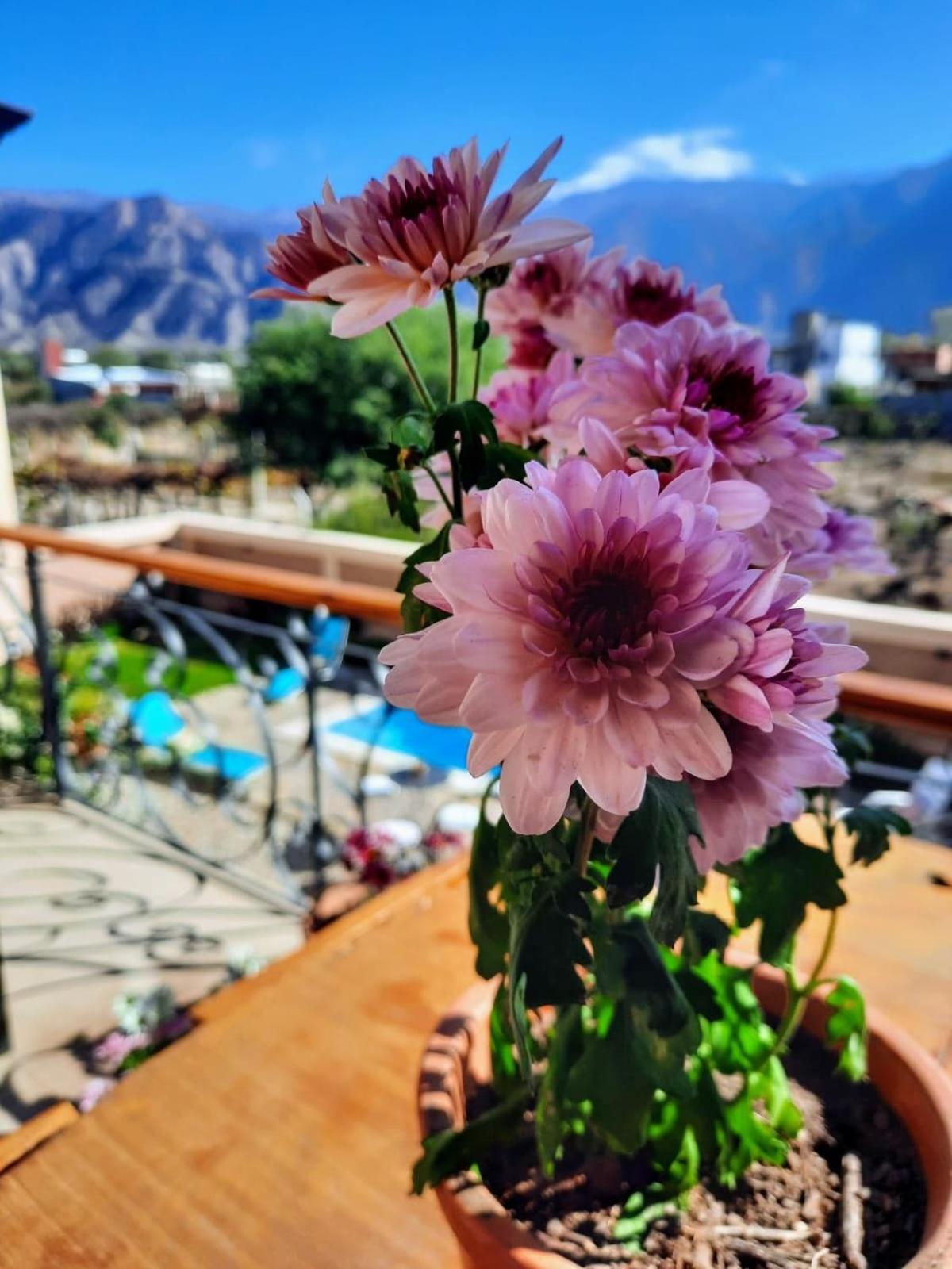 Luna De Cafayate Hotel Boutique Dış mekan fotoğraf